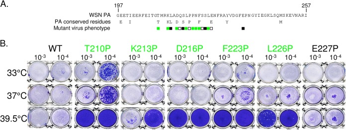 FIG 3