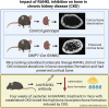 Graphical Abstract