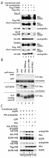 FIG. 7.