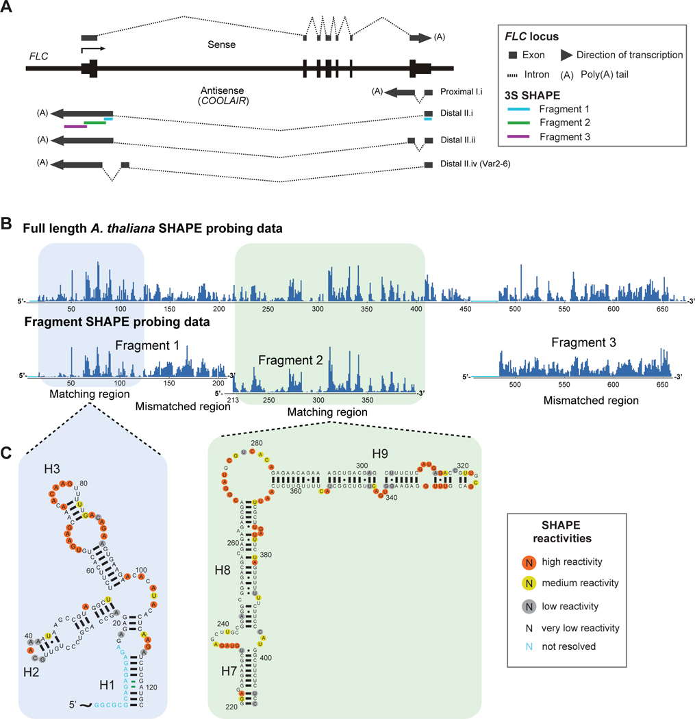 Figure 1: