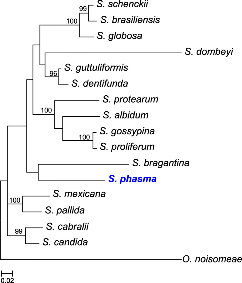 Fig. 3