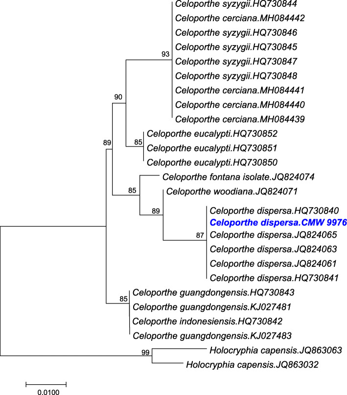 Fig. 2