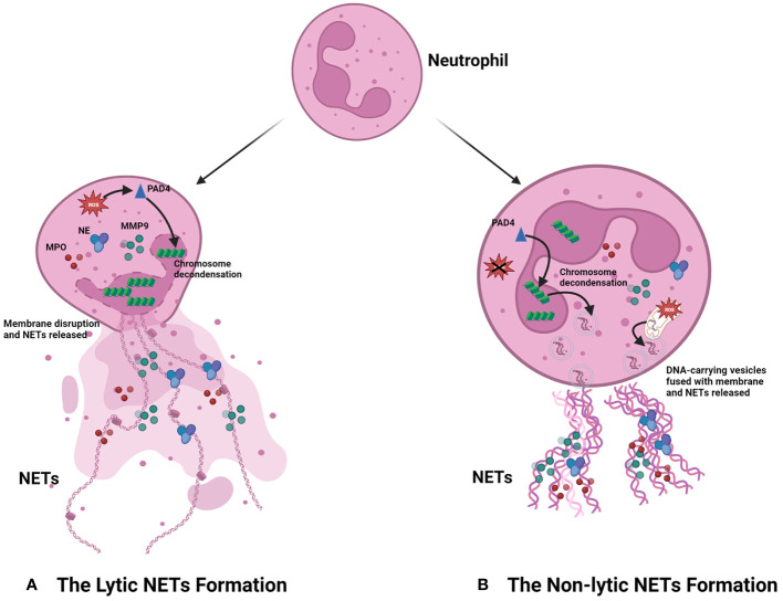 Figure 1