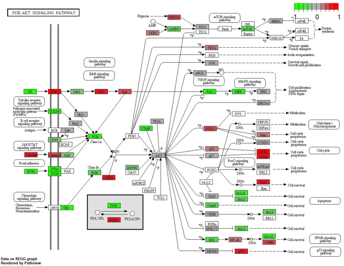 Figure 6