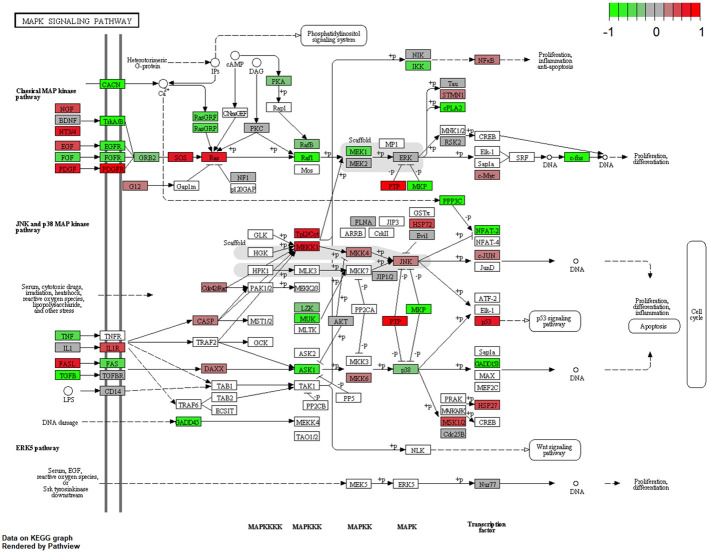 Figure 5