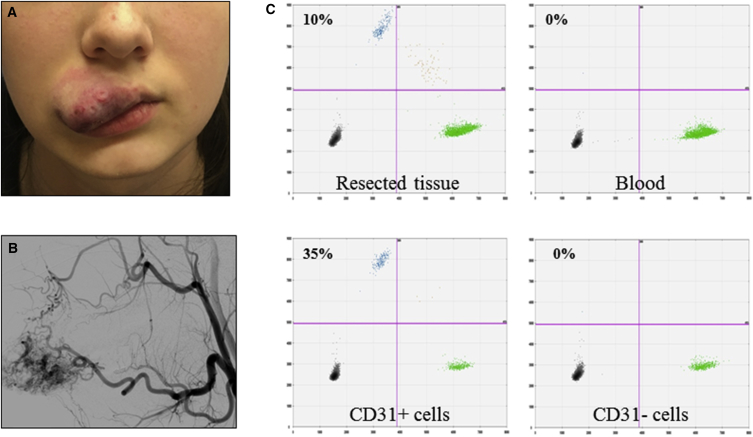 Figure 3