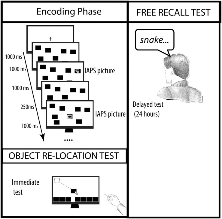 FIGURE 1