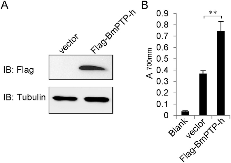 Fig. 3