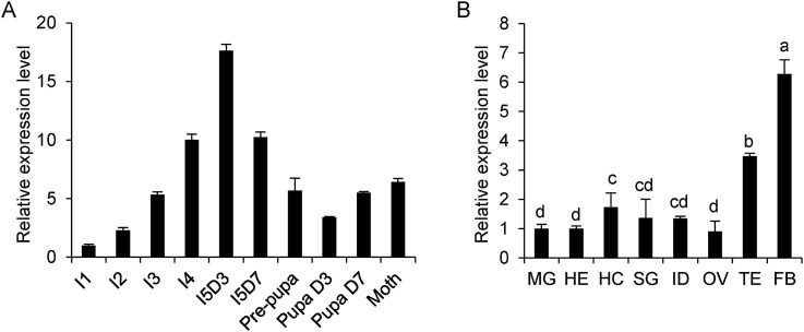 Fig. 1