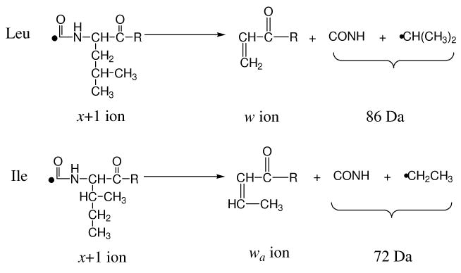 Scheme 3