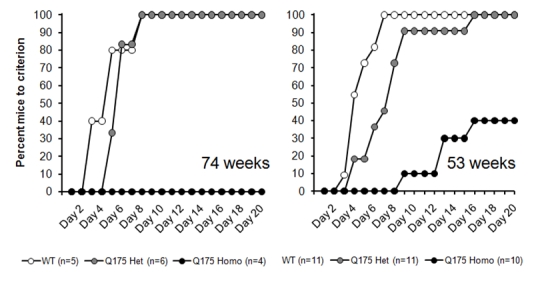 graphic file with name figure5.jpg