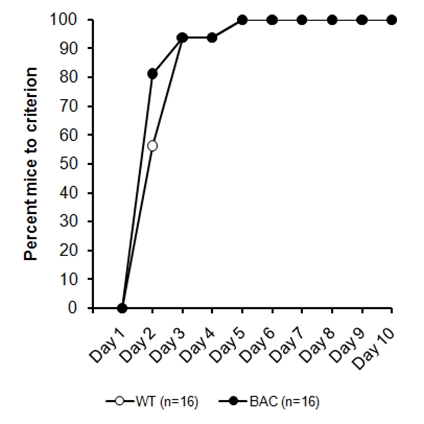 graphic file with name figure4.jpg