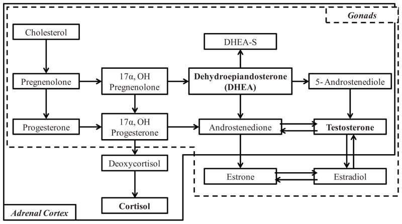 FIGURE 1