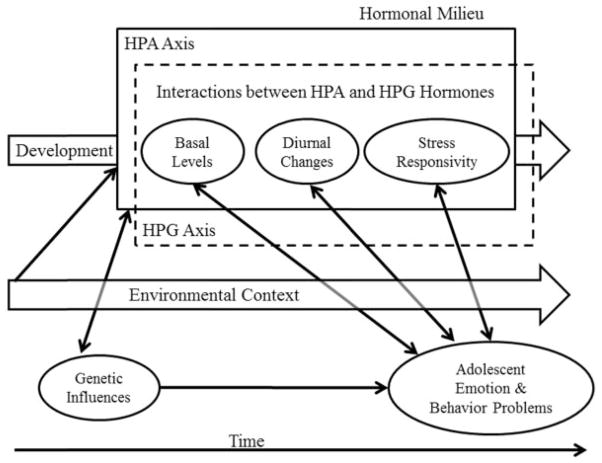 FIGURE 3