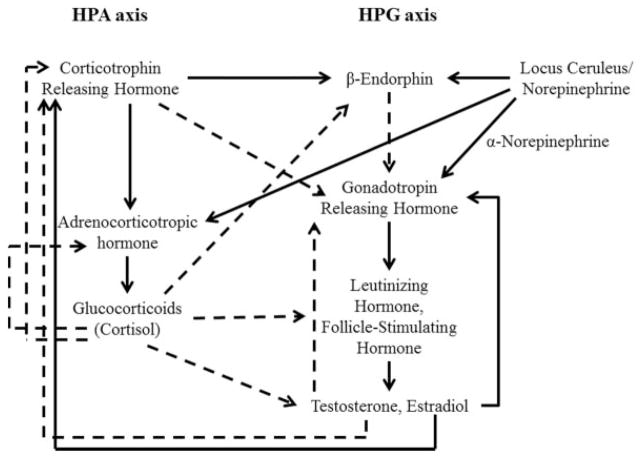 FIGURE 2