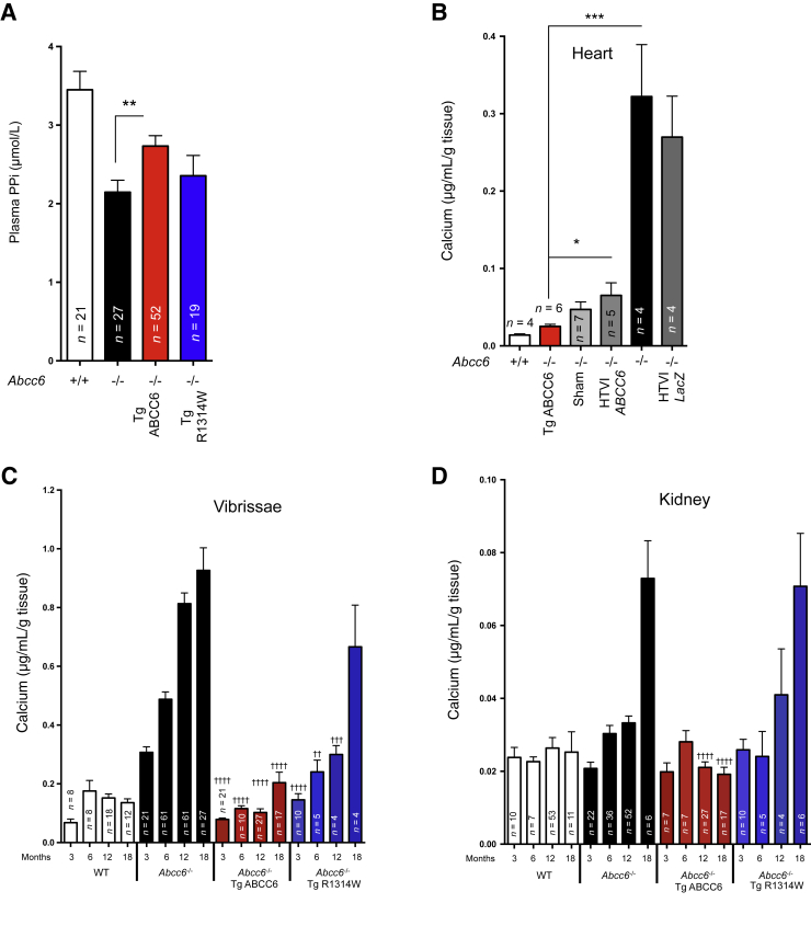 Figure 6