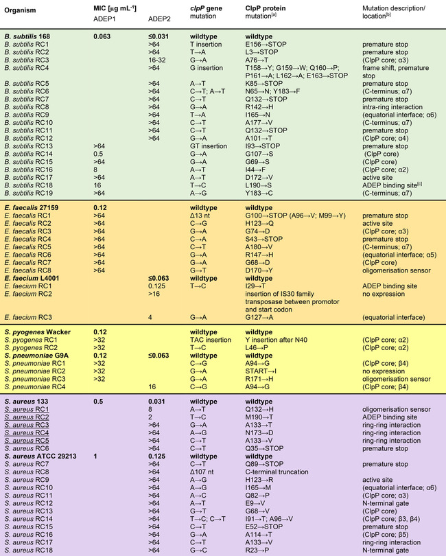 graphic file with name CBIC-21-1997-g008.jpg