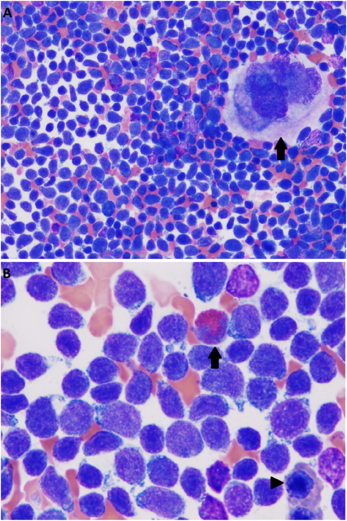 Fig. 2