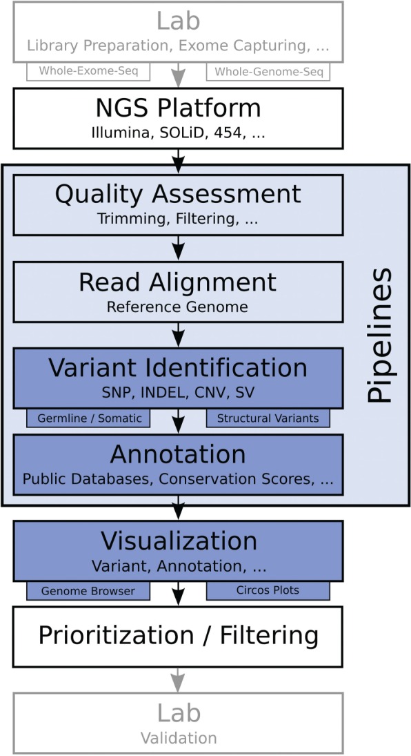 Figure 1: