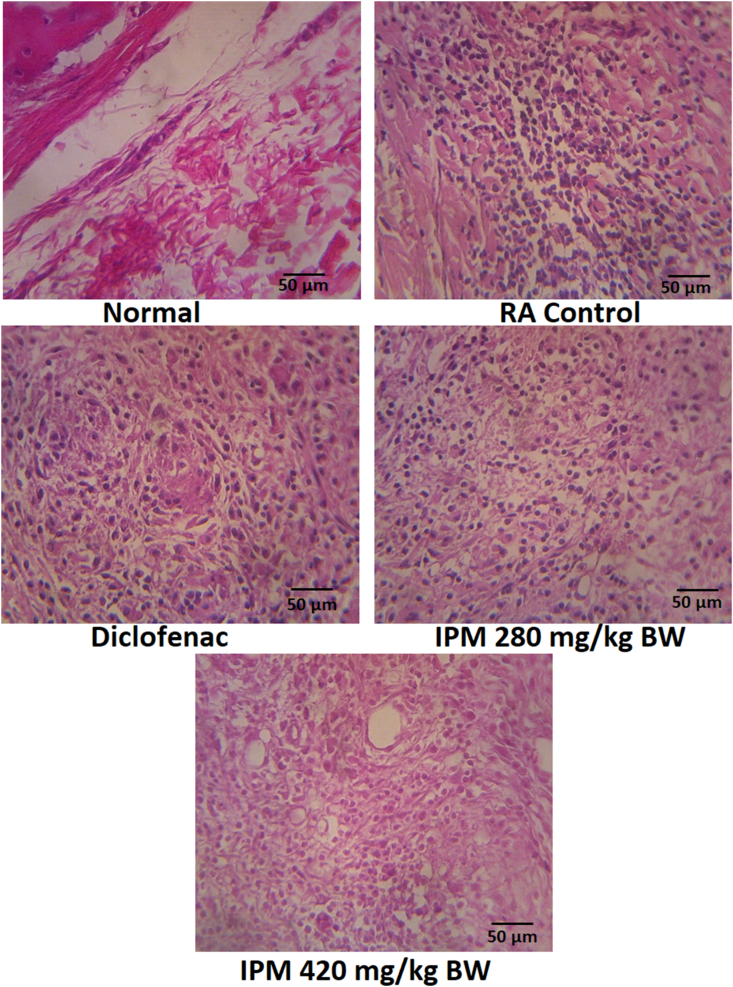 Fig. 6