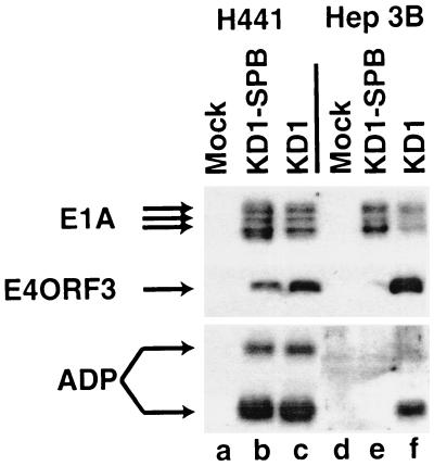 FIG. 5