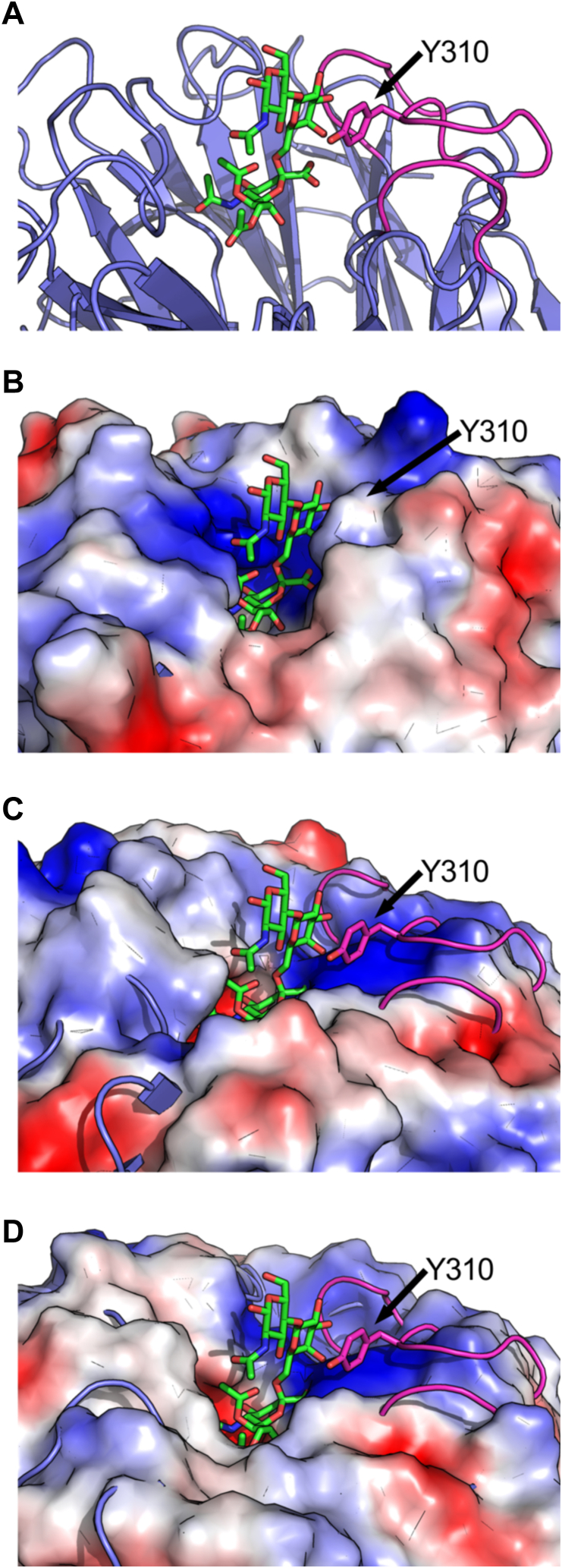 Figure 10