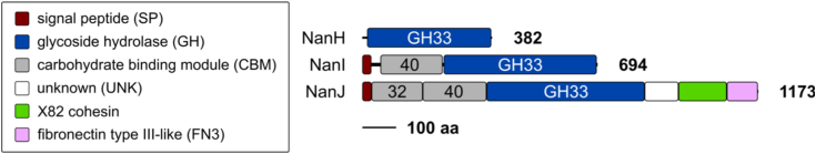 Figure 1