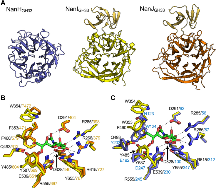 Figure 4