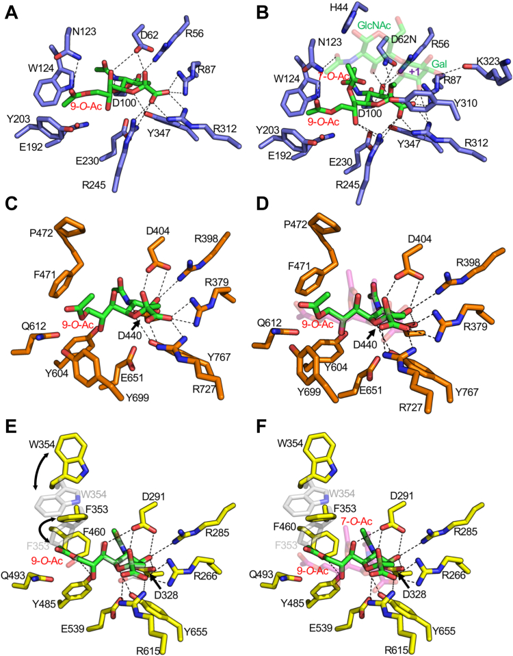 Figure 5