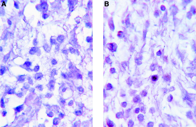 Figure 3  