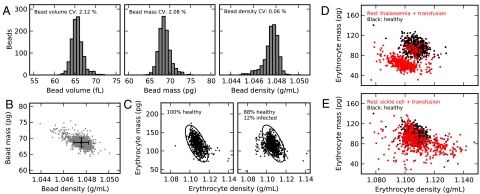 Fig. 4.