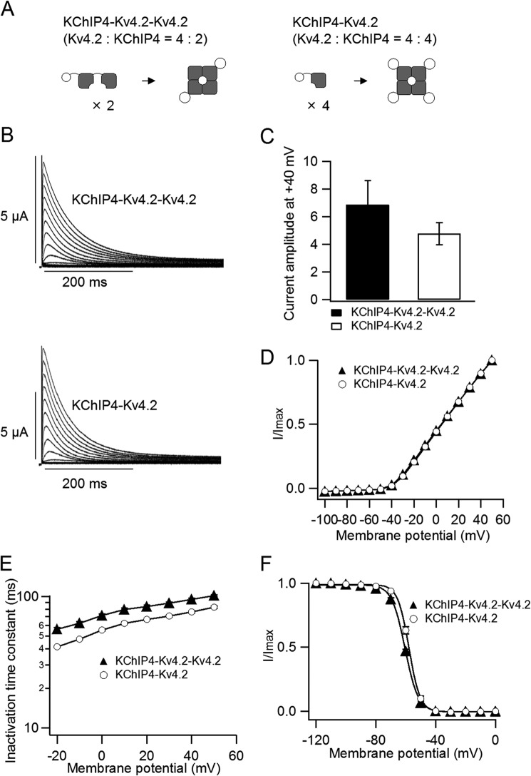 FIGURE 4.