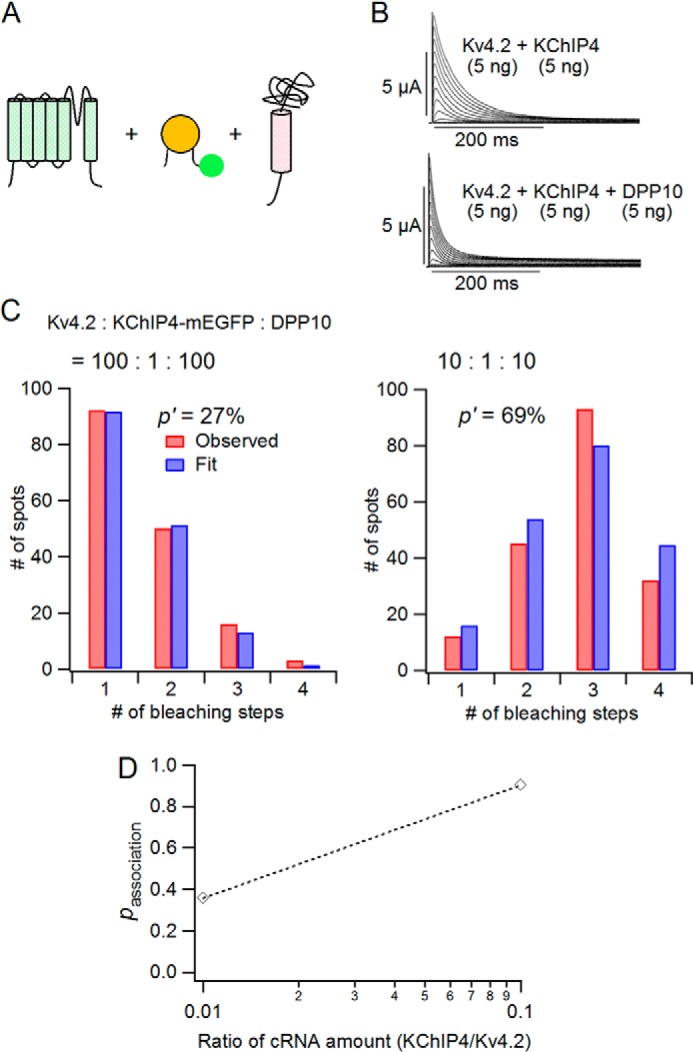 FIGURE 9.