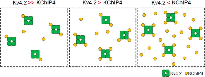 FIGURE 10.