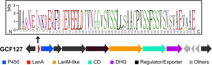 FIG 6