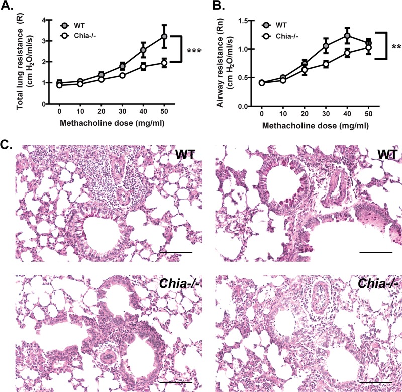 FIG 6