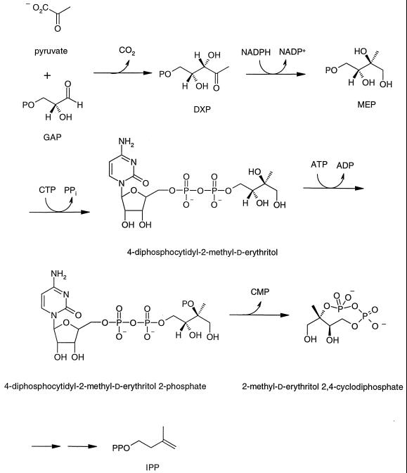 FIG. 1