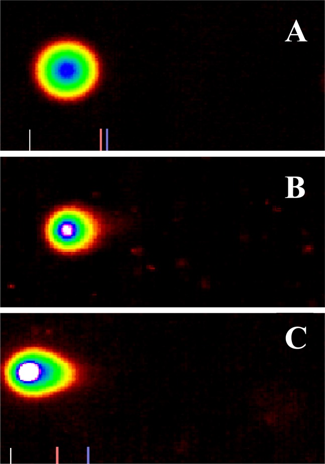 Figure 2: