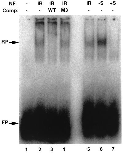 FIG. 7