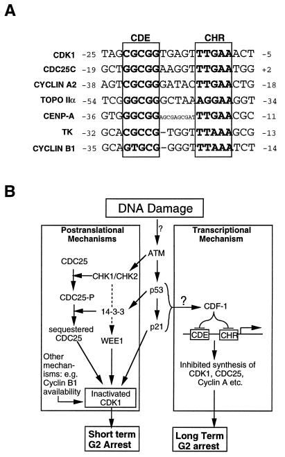 FIG. 9