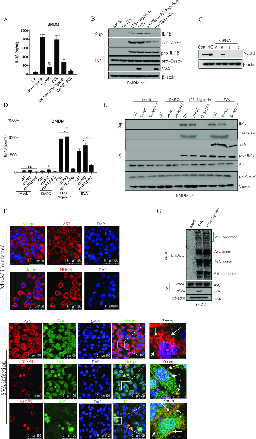 FIG 2