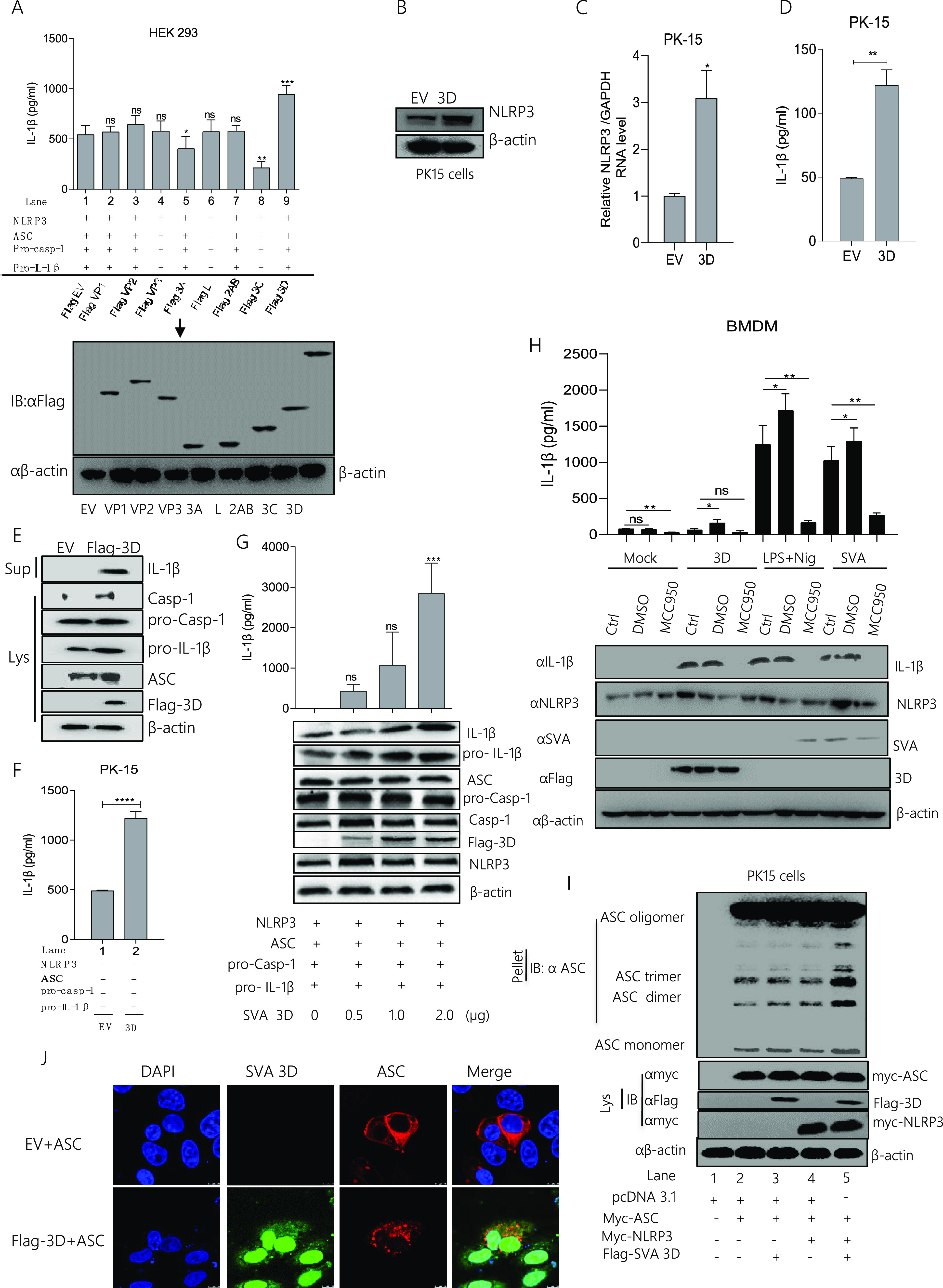 FIG 4