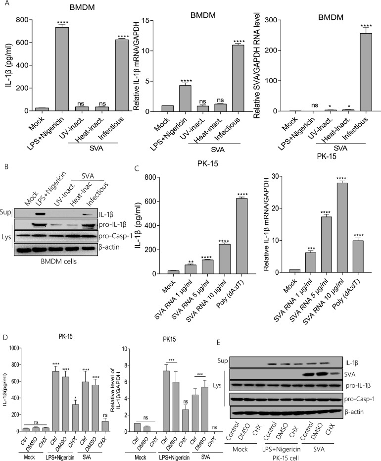 FIG 3