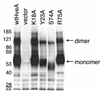 FIG. 6.