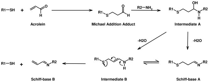 Scheme 2