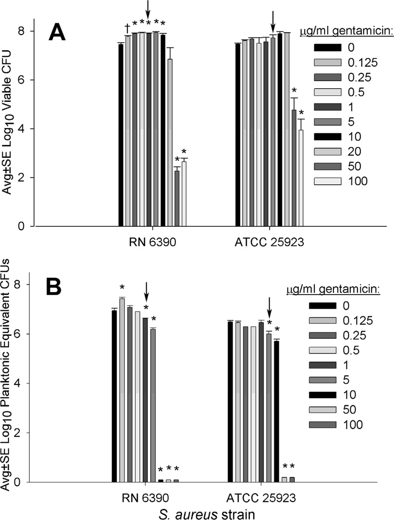 FIG 1