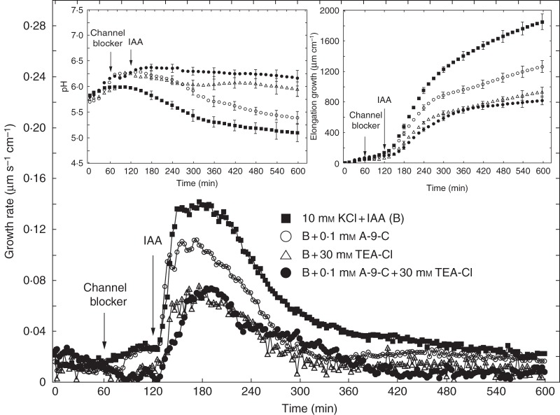 Fig. 7.