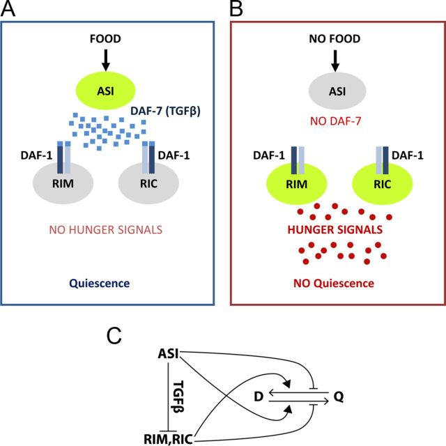 Figure 7.