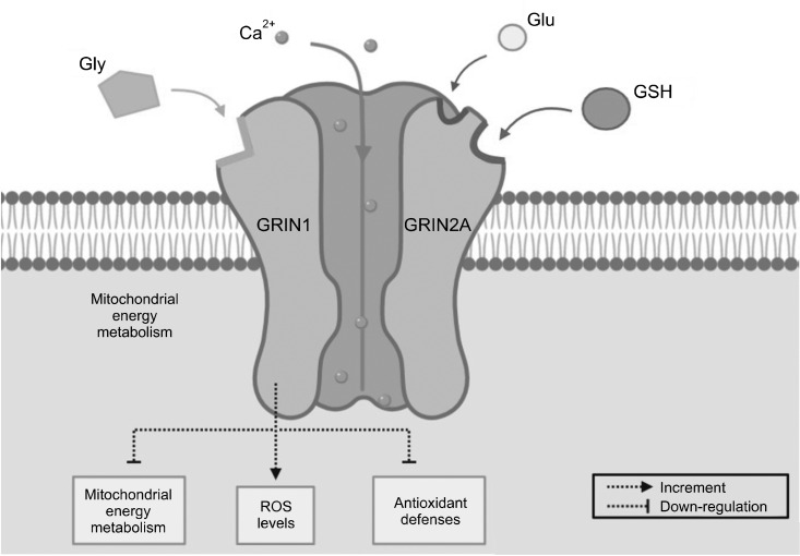 Fig. 1