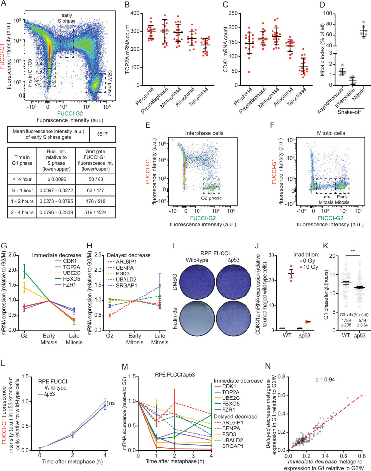 Figure 2—figure supplement 1.